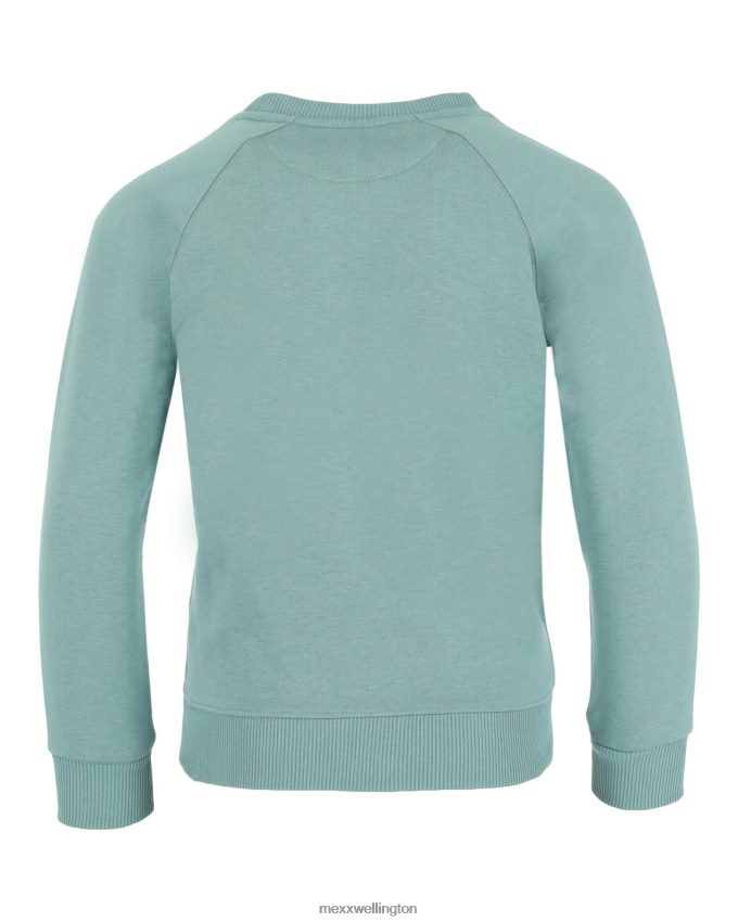 Boys Mexx Green Crew neck sweater Dark Mint 2B480T917