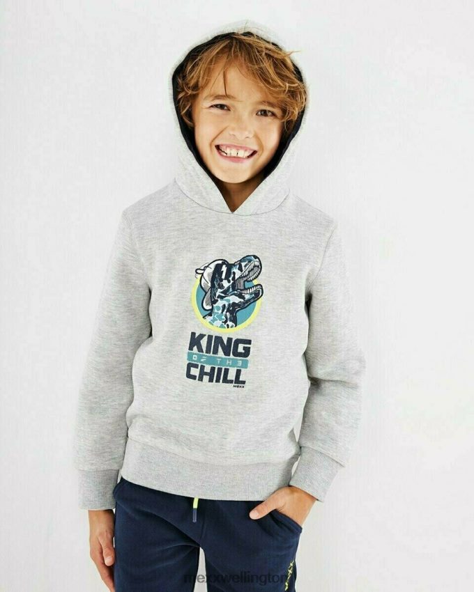 Boys Mexx Grey Hooded sweater grey melee 2B480T969