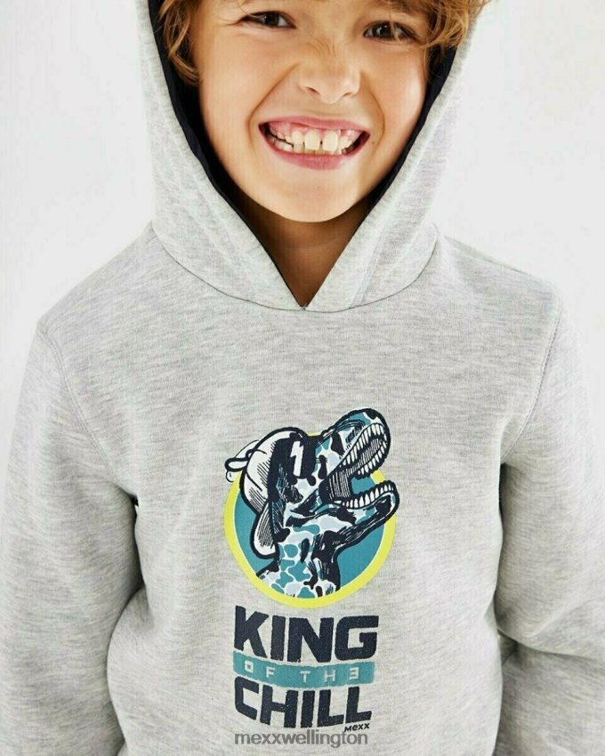 Boys Mexx Grey Hooded sweater grey melee 2B480T969