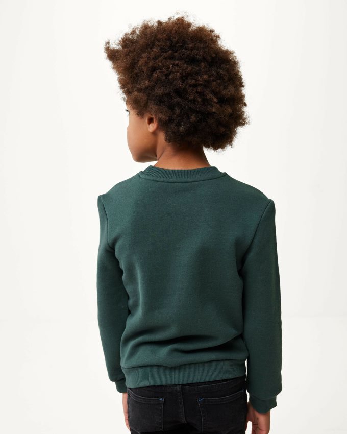 Boys Mexx Green Crewneck logo carrier Dark 2B480T943